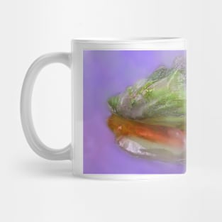 Caribbean Conch Shell Mug